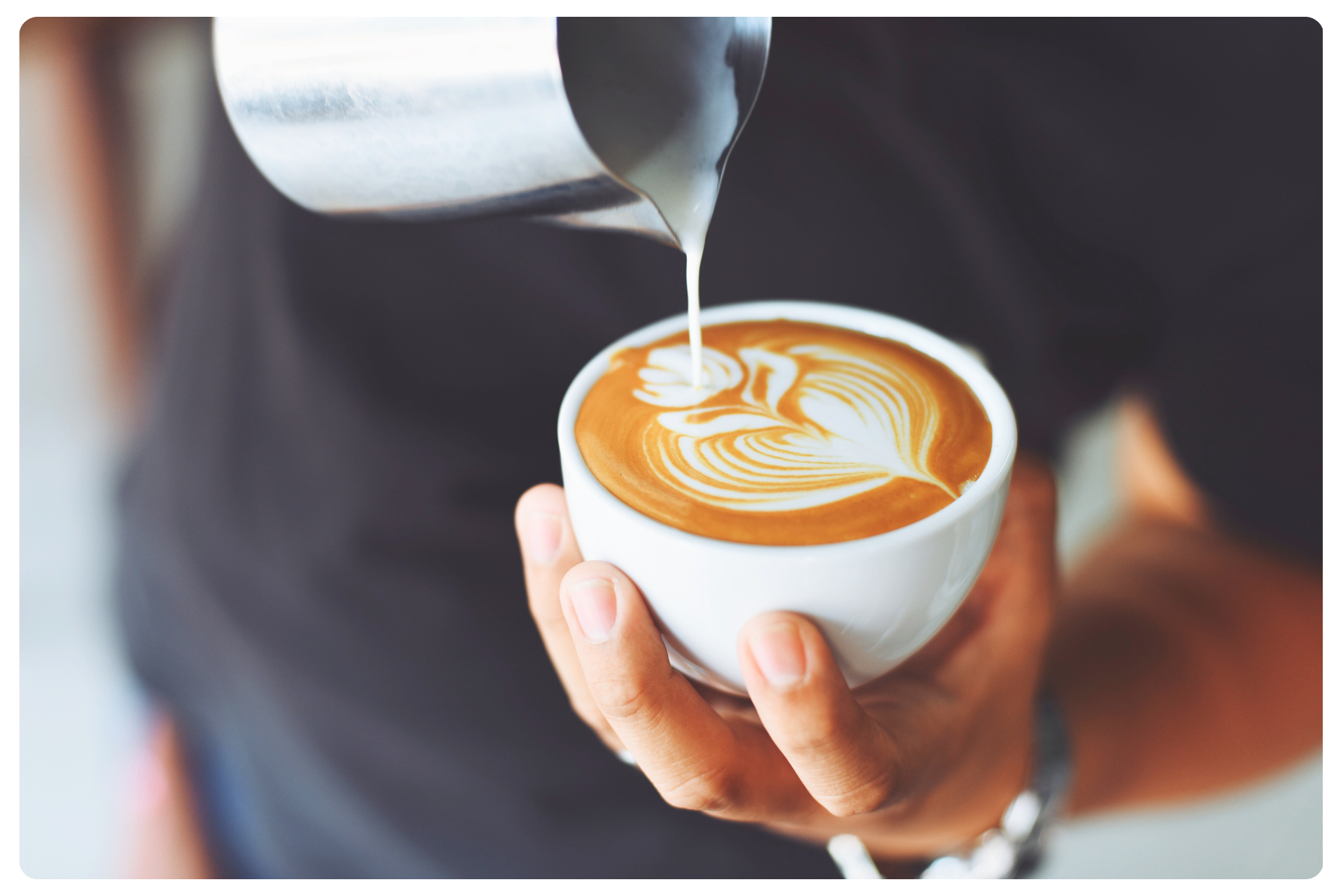 Machine a café horeca necta evoca