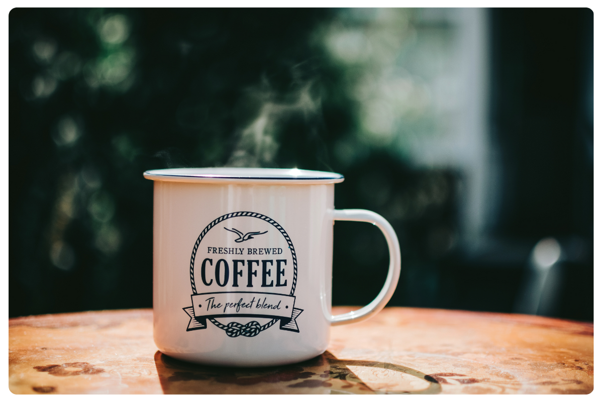 distributeur café barista brio kalea evoca necta